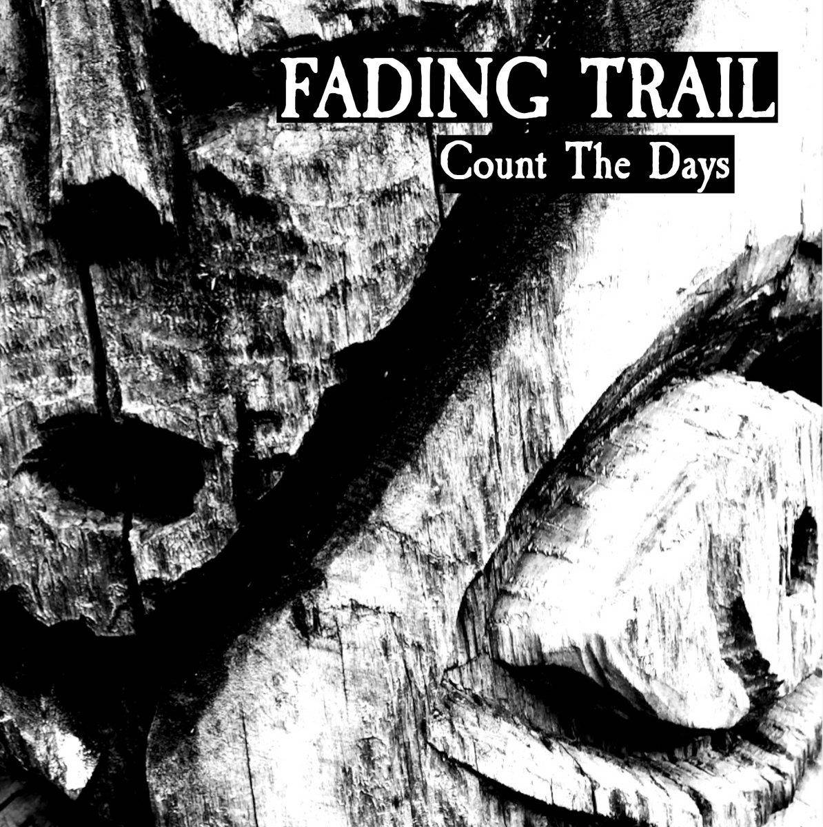 FADING TRAIL - COUNT THE DAYS (2021) [WMA] [FALLEN ANGEL]
