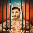 The Flower Kings - Love (2025) [FLAC]