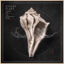 Robert Plant - Lullaby And... The Ceaseless Roar (2014) [Flac]