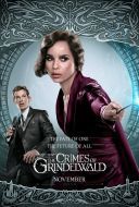 Fantastyczne zwierzęta: Zbrodnie Grindelwalda / Fantastic Beasts: The Crimes of Grindelwald (2018) [MULTi.1080p.BluRay.x264-DSiTE] [Dubbing PL] [mkv] [FIONA9]