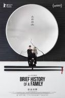Krotka historia rodziny / Jia Ting Jian Shi (2024) [PL.480p.AC3.WEB-DL.XviD-GR4PE] [Lektor PL] [avi] [FIONA9]
