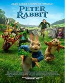 Piotruś Królik / Peter Rabbit (2018) [MULTi.1080p.BluRay.x264-DSiTE] [Dubbing PL] [mkv]  [FIONA9]