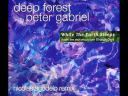 Deep Forest - While the Earth Sleeps (Live Version Remix) (2025 Elettronica) [Flac]
