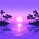 Purple Disco Machine - Paradise (2024) [Flac 24-44]