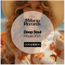 (Deep House, Piano House, Dance Pop, Soulful House) VA - Deep Soul House 2025 [FLAC] [ToAlien]