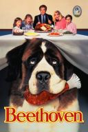 Kolekcja Beethoven (1992-2014) [BRRip] [720p] [XviD] [AC3-LTN] [Lektor PL]