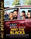 Niefortunna przeprowadzka / Meet the Blacks (2016) [MULTi.1080p.BluRay.x264-DSiTE] [Lektor PL] [mkv] [FIONA9]