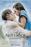 Pamiętnik / The Notebook (2004) [MULTi.1080p.BluRay.REMUX.VC-1.DD.5.1-LTS] [h264] [Lektor PL] [mkv]  [FIONA9]
