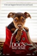 O psie, który wrócił do domu / A Dog`s Way Home (2019) [PLDUB.480p.BRRip.XViD.AC3-MORS] [Dubbing PL] [avi]  [FIONA9]