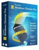 Auslogics Windows Slimmer (v.5.1.0.1) by elchupacabra *2023* [ENG] [exe]