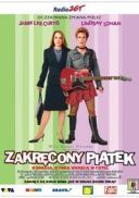 Zakrecony piatek / Freaky Friday (2003) [BRRip] [XviD] [Lektor PL]