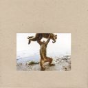 SHELLAC - DUDE INCREDIBLE (2014/2020) [WMA] [FALLEN ANGEL]