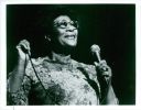 Ella Fitzgerald (1995-2024) [MP3@320 kbps]