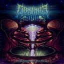 ORPHALIS - THE BIRTH OF INFINITY (2016) [WMA] [FALLEN ANGEL]