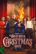 This is Not a Christmas Movie/ Dit is geen kerstfilm (2024) [PL.1080p.AMZN.WEB-DL.H264.DDP2.0-FOX] [Lektor PL] [mkv] [FIONA9]