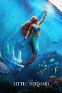 Mala syrenka - The Little Mermaid (2023) [1080p] [WEBRip x264] [ Dubbing PL ]
