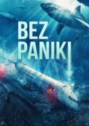 Bez paniki / No Way Up (2024) [MULTi.1080p.AMZN.WEB-DL.H264.DDP5.1-K83] [Lektor PL] [mkv]  [FIONA9]