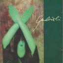 Robert Gawlinski - X (1998) [FLAC 24bit]