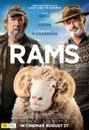 Barany / Rams (2020) [720p] [BDRip] [XviD] [AC3-ELiTE] [Lektor PL]