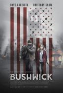 Droga przez pieklo / Bushwick (2017) [HDTV] [XviD-GR4PE] [Lektor PL] [avi] [FIONA9]