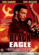 Czarny orzel / Black Eagle (1988) [1080p] [BDRip] [h264] [AAC-wasik] [Lektor PL]