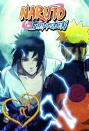 Naruto Shippuuden 2007-2017 [S01-S21] [480p.HDTV.x264-zyl][Napisy PL][Alusia]