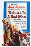 Opowieść o złym człowieku / Tribute to a Bad Man (1956) [PL.720p.WEB-DL.x264-wasik] [Lektor PL] [mkv]  [FIONA9]