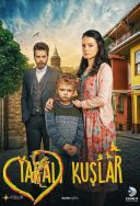 Zranione ptaki - Yaralı Kuşlar - Wounded Birds 2019 [S01] [720p.WEBRip.x264-FT][Lektor PL][Alusia]