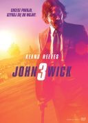 John Wick 3 / John Wick: Chapter 3 - Parabellum (2019) [PL.720p.BDRip.XviD.AC3-ELiTE] [Lektor PL] [avi]  [FIONA9]