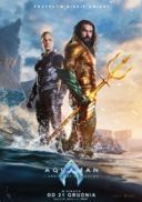 Aquaman i Zaginione Królestwo 3D / Aquaman and the Lost Kingdom 3D (2023) [1080p Half-SBS x264] [Lektor PL] [mkv]  [FIONA9]