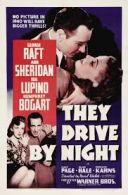 Nocna wyprawa / They Drive by Night (1940) [PL.480p.BDRip.XviD.AC3] [Lektor PL] [avi]  [FIONA9]
