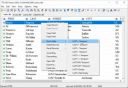DBF Viewer 2000 v8.96 Multilingual + Crack[RepackMaster]