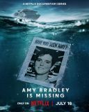Co sie stalo z Amy Bradley? / Amy Bradley Is Missing (2025) [Sezon 1] [Lektor &amp; Napisy PL] [MULTi] [1080p] [WEB-DL] [H264] [DDP5.1-K83]