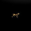 Delta Rae - The Dark (2021) [FLAC]