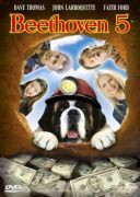 Beethoven 5 / Beethoven's 5th (2003) [PL.WEB-DL.720p.XviD.AC3-LTN] [Lektor PL] [avi]  [FIONA9]