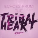 VA - Echoes from the Tribal Heart, Vol.08 (2025) [MP3 320kbps]