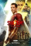 Shazam! Gniew Bogow / Shazam! Fury of the Gods (2023) [PLDUB BDRip XViD-MG] [Dubbing PL] [avi] [FIONA9]