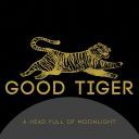 Good Tiger (UK) - A Head Full Of Moonlight (2015) [FLAC] [t0deusz]