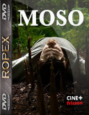 Siostrzana zemsta - Moso (2025) [1080p] [WEB-DL] [H.264-RX] [Lektor PL]