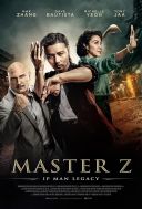 Master Z: The Ip Man Legacy (2018) [MULTi.1080p.BluRay.x264.DTS-HD.MA.5.1.AC3-MG] [Lektor PL] [mkv]  [FIONA9]
