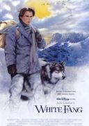Bialy Kiel / White Fang (1991) [720p] [WEB-DL] [XviD] [AC3-ELiTE] [Lektor PL]