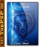 The Bear [Sezon 3] [480p] [DSNP] [WEB-DL] [H264] [DDP5 1-K83] [Lektor PL]