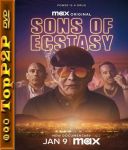 Pokolenie ecstasy / Sons of Ecstasy (2025) [MULTi.1080p.MAX.WEB-DL.DDP2.0.H264-P2P] [Lektor PL] [mkv]  [FIONA9]