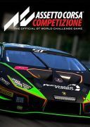 Assetto Corsa Competizione (v.1.10.4 + DLC) by seleZen *2019* [ENG] [exe]