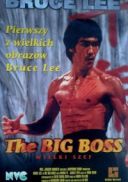 Wielki szef - Tang shan da xiong - The Big Boss (1971) [MULTI PL m1080p x264-LTN] [Lektor PL] [mkv] [FIONA9]