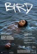 Bird (2024) [BRRip.XviD-GR4PE]  [Lektor PL]