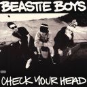 BEASTIE BOYS - CHECK YOUR HEAD (1992) [WMA] [FALLEN ANGEL]