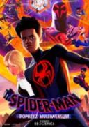 Spider-Man Poprzez multiwersum / Spider-Man Across the Spider-Verse (2023) [720p] [WEB-DL] [XviD] [AC3-PT] [Lektor PL]