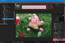 PhotoScape X Pro 4.2.9 Repack[RepackMaster]