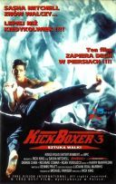 Kickboxer 3: Sztuka walki - Kickboxer 3: The Art of War (1992) [720p] [BDRip] [XviD] [AC3] [Lektor PL]